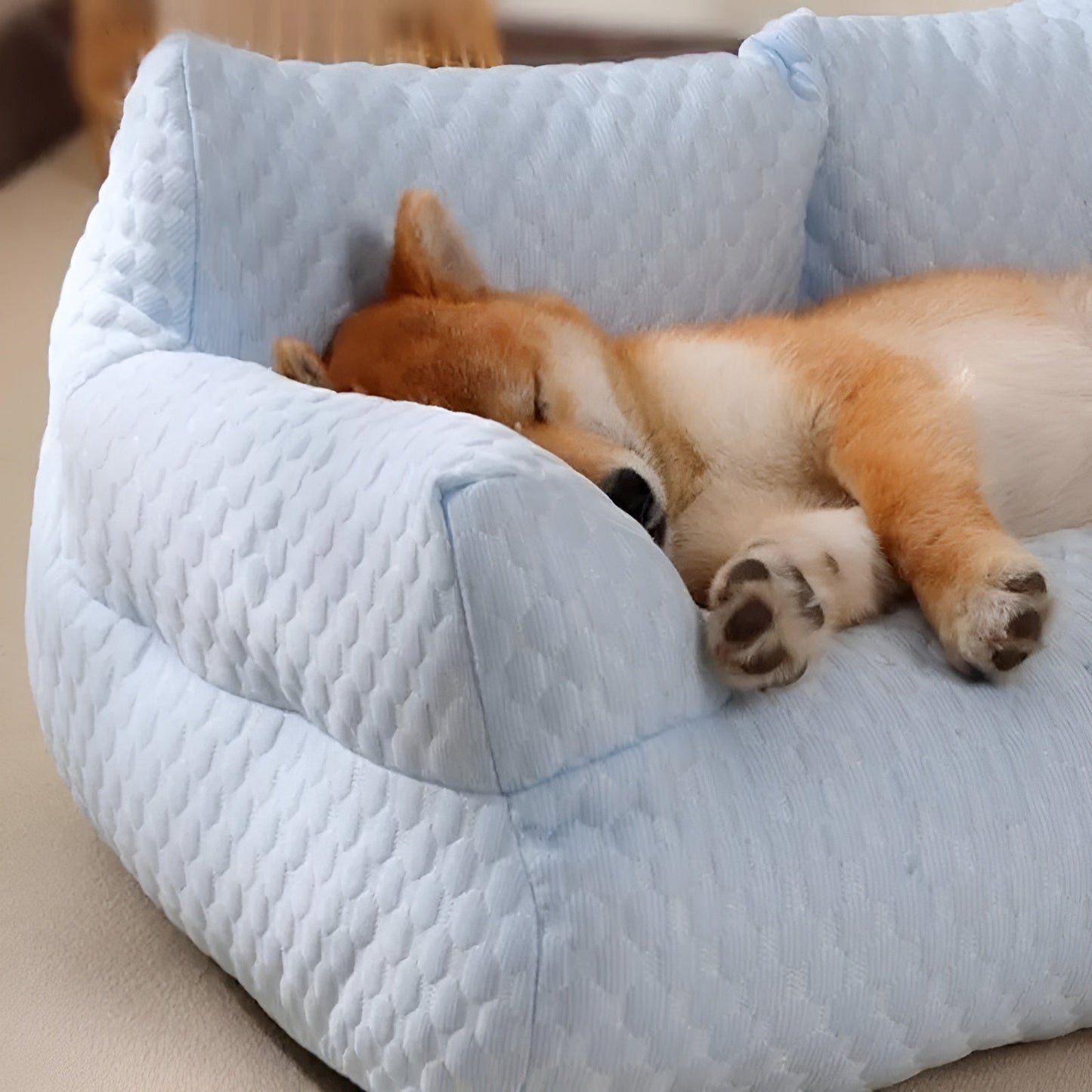 Norvo | Vaskbar Plush Katt- og Hundedyne - CozyPaws