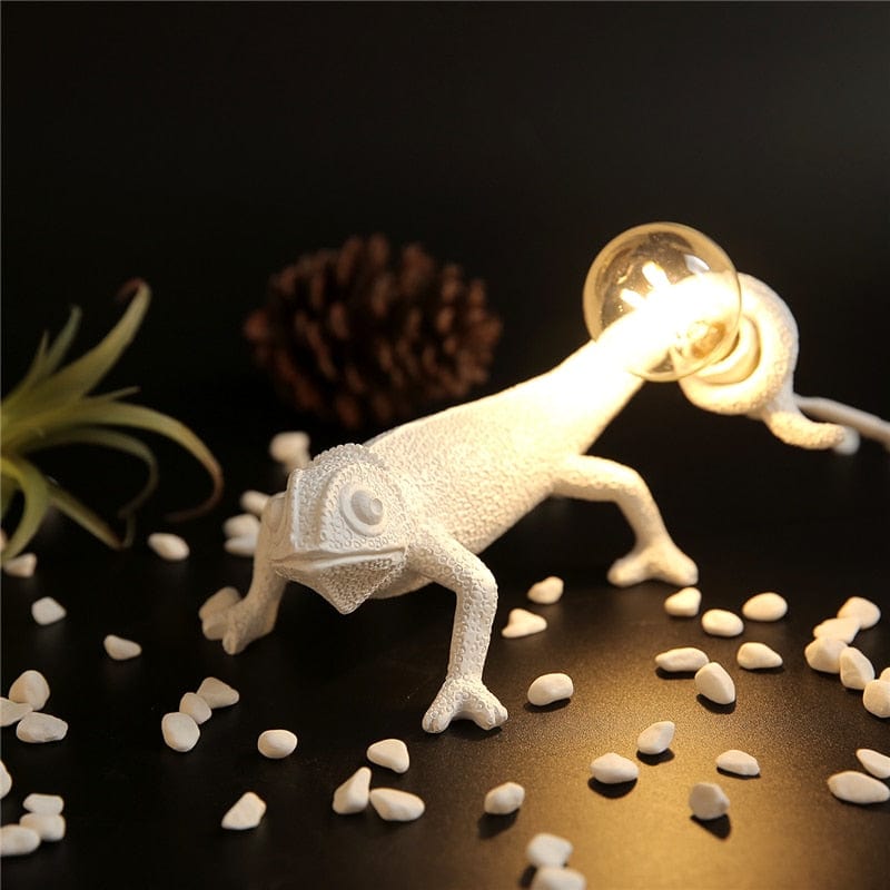 Norvo | Chameleon Bordlampe