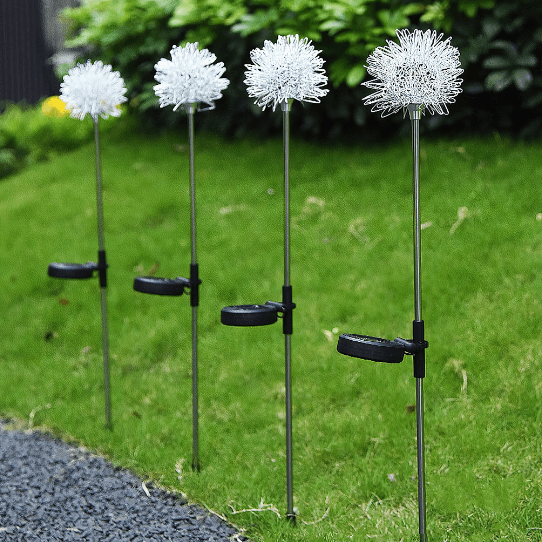 Norvo | Dandelion Garden Lights, Solar Powered