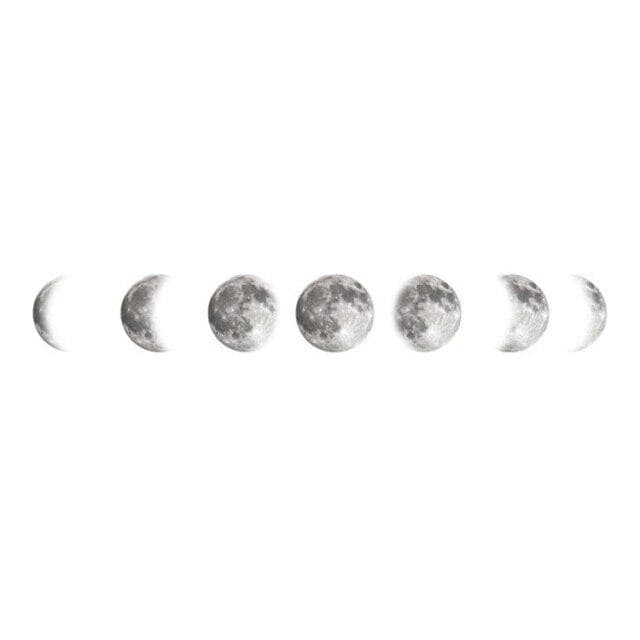 Norvo | Mouth Phases Veggklistremerke