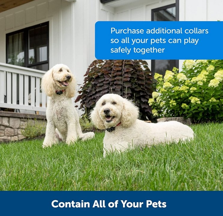Norvo | Trådløst Hundefence Krage System | Vanntett, Oppladbar & Ideell for Hjemmetrening og Utendørs Eventyr