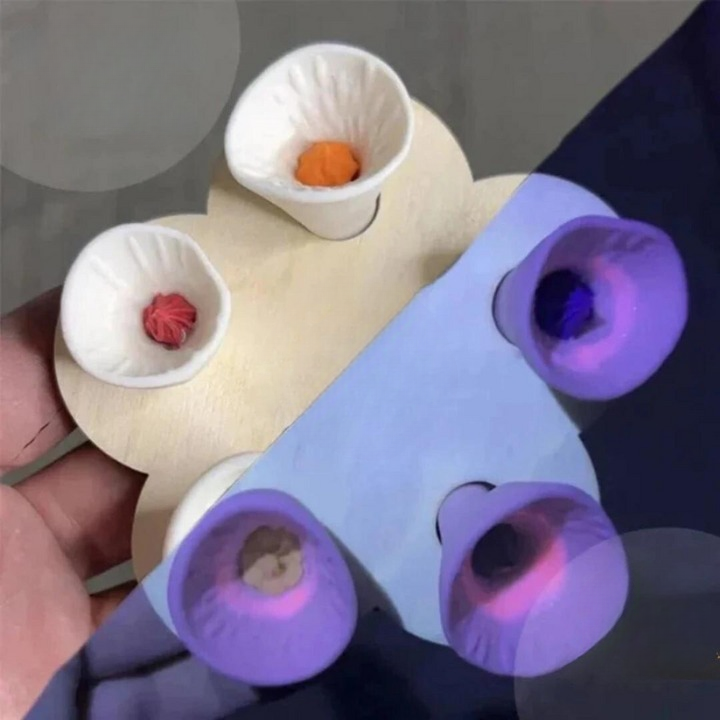 Norvo | Bee Care - PolliCup - Pollinator Friendly - Support Biodiversity